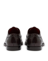 FULL BROGUE DERBY IN MICHELANGELO CALFSKIN - | Dolce & Gabbana