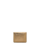 DG Logo continental wallet - | Dolce & Gabbana