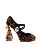 SPECIAL - | Dolce & Gabbana