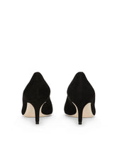 Suede pointed pumps with mid heel - | Dolce & Gabbana
