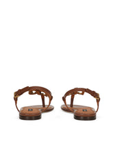 Women's Brown Leather Sandals - | Dolce & Gabbana