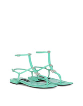 Nappa leather DG thong sandals - | Dolce & Gabbana
