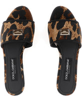 ACCESSORY - | Dolce & Gabbana