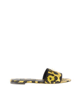 ACCESSORY - | Dolce & Gabbana