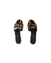 ACCESSORY - | Dolce & Gabbana