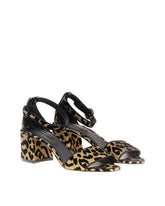 ETERNITY - | Dolce & Gabbana