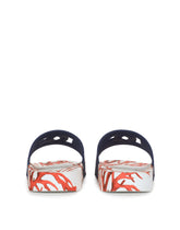 Rubber beachwear sliders with DG logo - | Dolce & Gabbana