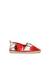 Shoes - | Dolce & Gabbana