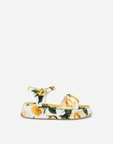 Printed canvas sandals - | Dolce & Gabbana