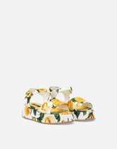 Printed canvas sandals - | Dolce & Gabbana