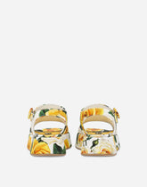 Printed canvas sandals - | Dolce & Gabbana