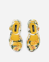 Printed canvas sandals - | Dolce & Gabbana