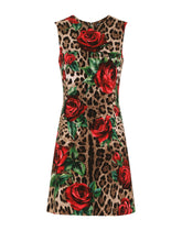 Day Dress - | Dolce & Gabbana
