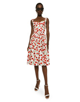 Day Dress - | Dolce & Gabbana