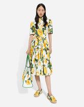Cotton shirt dress with yellow rose print - | Dolce & Gabbana