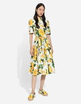 Cotton shirt dress with yellow rose print - | Dolce & Gabbana