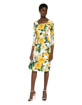 Charmeuse sheath dress with yellow rose print - | Dolce & Gabbana