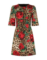 Day Dress - | Dolce & Gabbana