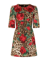 Day Dress - | Dolce & Gabbana
