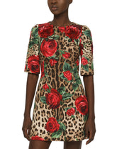 Day Dress - | Dolce & Gabbana