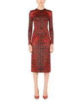 Calf-length bustier dress with leopard print - | Dolce & Gabbana
