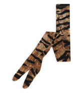 Socks - | Dolce & Gabbana