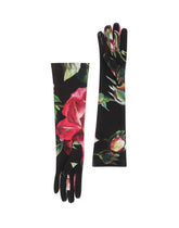 Rose-print jersey gloves with DG logo - | Dolce & Gabbana
