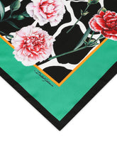 Foulard - | Dolce & Gabbana