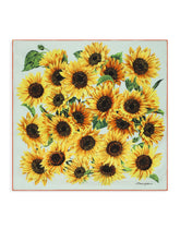 Foulard - | Dolce & Gabbana