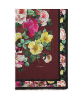 Foulard - | Dolce & Gabbana