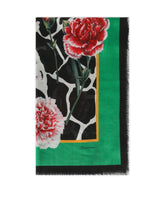 Foulard - | Dolce & Gabbana