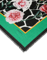 Foulard - | Dolce & Gabbana