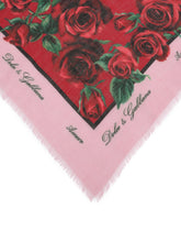 Foulard - | Dolce & Gabbana