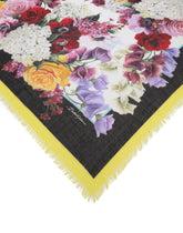 Foulard - | Dolce & Gabbana