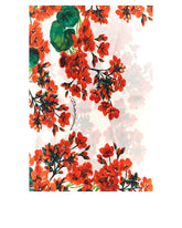 Foulard - | Dolce & Gabbana