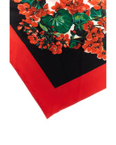 Foulard - | Dolce & Gabbana