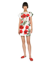 Poppy-print poplin shorts - | Dolce & Gabbana