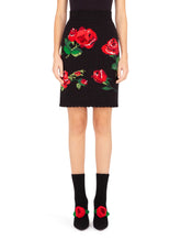 MINI SKIRT WITH ROSE EMBROIDERY - | Dolce & Gabbana