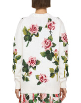Round Neck - | Dolce & Gabbana