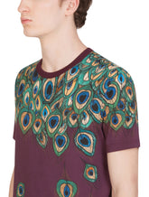 COTTON T-SHIRT WITH FEATHER PRINT - | Dolce & Gabbana