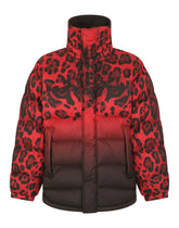 Leopard-print reversible jacket - | Dolce & Gabbana