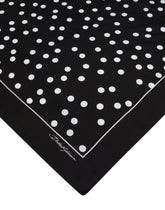 Scarf - | Dolce & Gabbana