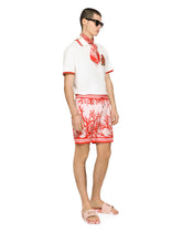Coral-print silk scarf with pink background - | Dolce & Gabbana