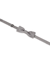 Papillon - | Dolce & Gabbana