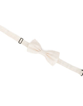 Papillon - | Dolce & Gabbana