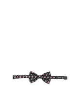 Papillon - | Dolce & Gabbana