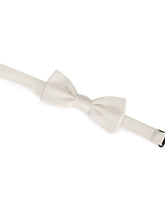 Papillon - | Dolce & Gabbana