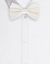 Papillon - | Dolce & Gabbana