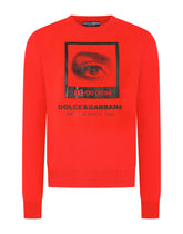 Wool round-neck sweater with intarsia and print - | Dolce & Gabbana