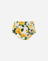 Poplin dress with bloomers and yellow rose print - | Dolce & Gabbana